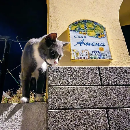 Hébergement de vacances Casa Amena Con Ampio Terrazzo E Giardino Lipari (Isola Lipari)